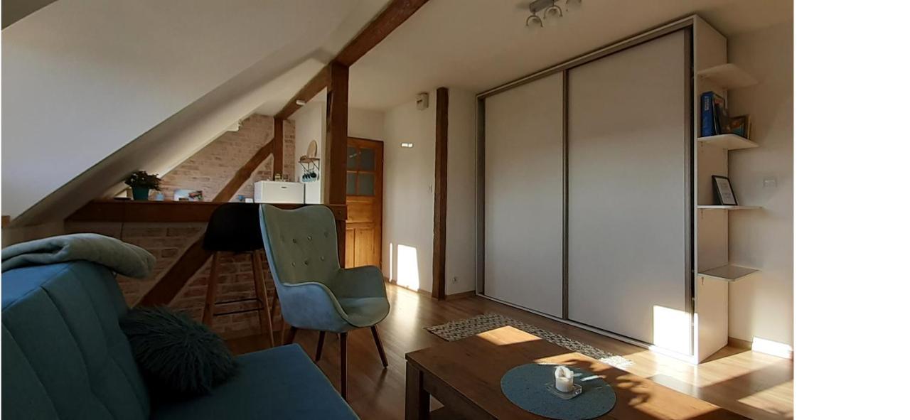Urocze Studio Z Klimatem W Centrum Legnicy Legnica Extérieur photo